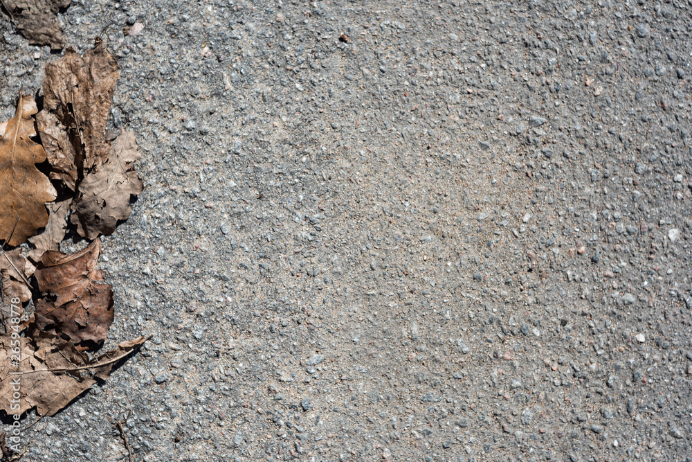 Naklejka premium Road with dry leaves