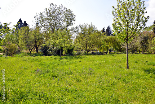 Botanischer Garten