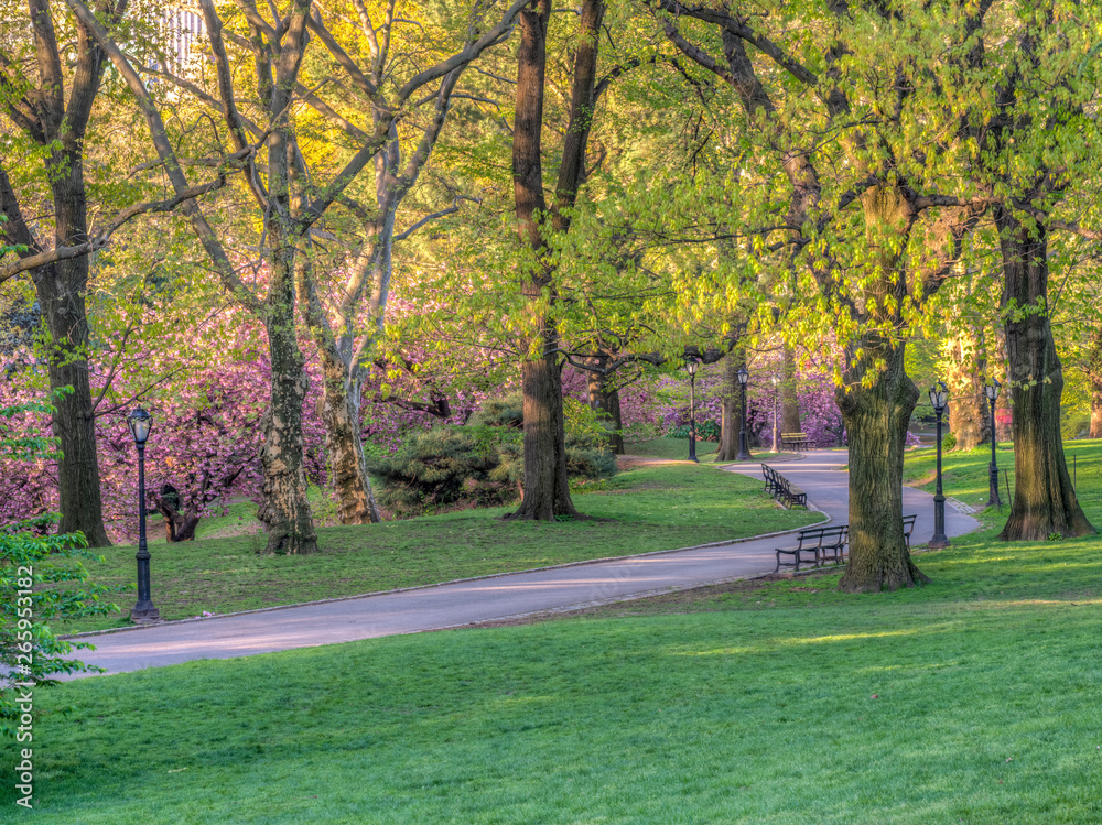 Central Park, New York City in spring