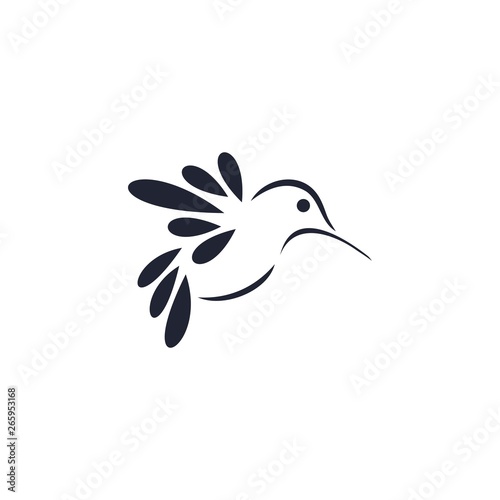 Colibri corporate logo. Bird icon design