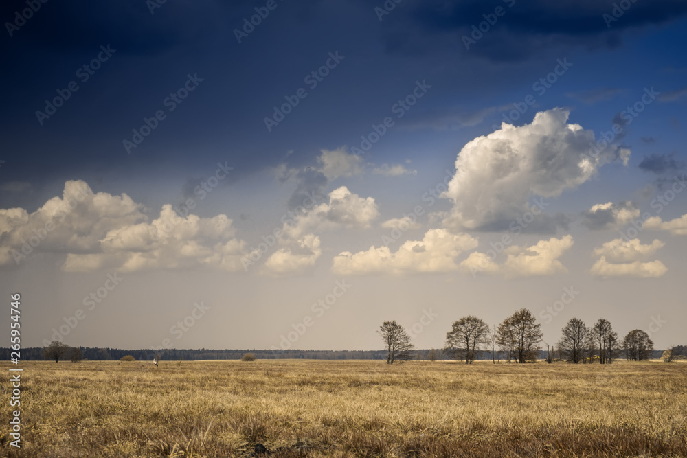 Spring field with thundercloud and clouds.