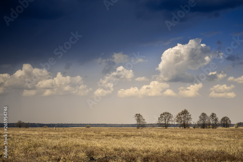 Spring field with thundercloud and clouds. © Виталий Волосевич