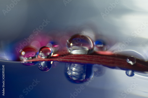 Macro, abstract composition with colorful water drops on a petal