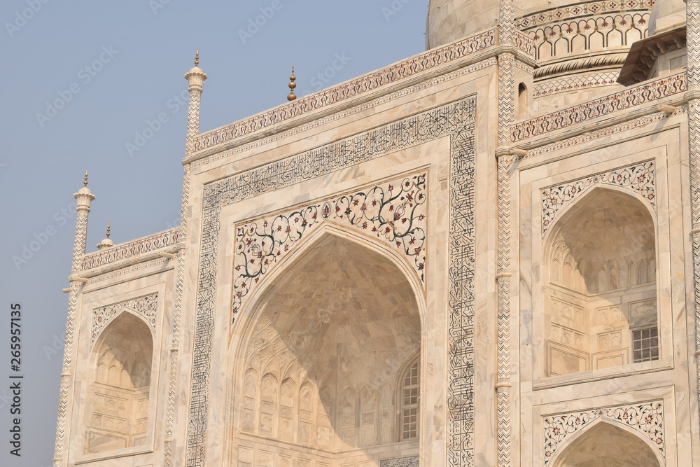 Detail close up picture of beautiful mausoleum Taj mahal in Agra India