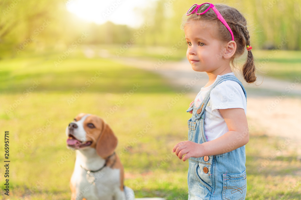 Little Caucasian girl walks with her dog in the summer in the park on ...