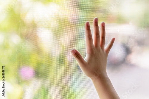 The girl put her right hand against the mosquito net wire. The outside is a blur of green trees.