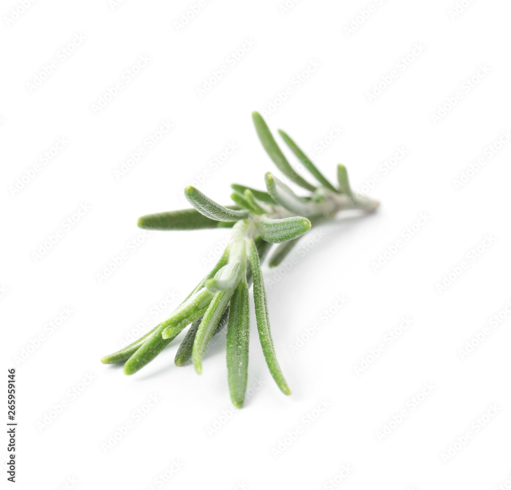 Fresh green rosemary twig on white background Fresh green rosemary twig on white background