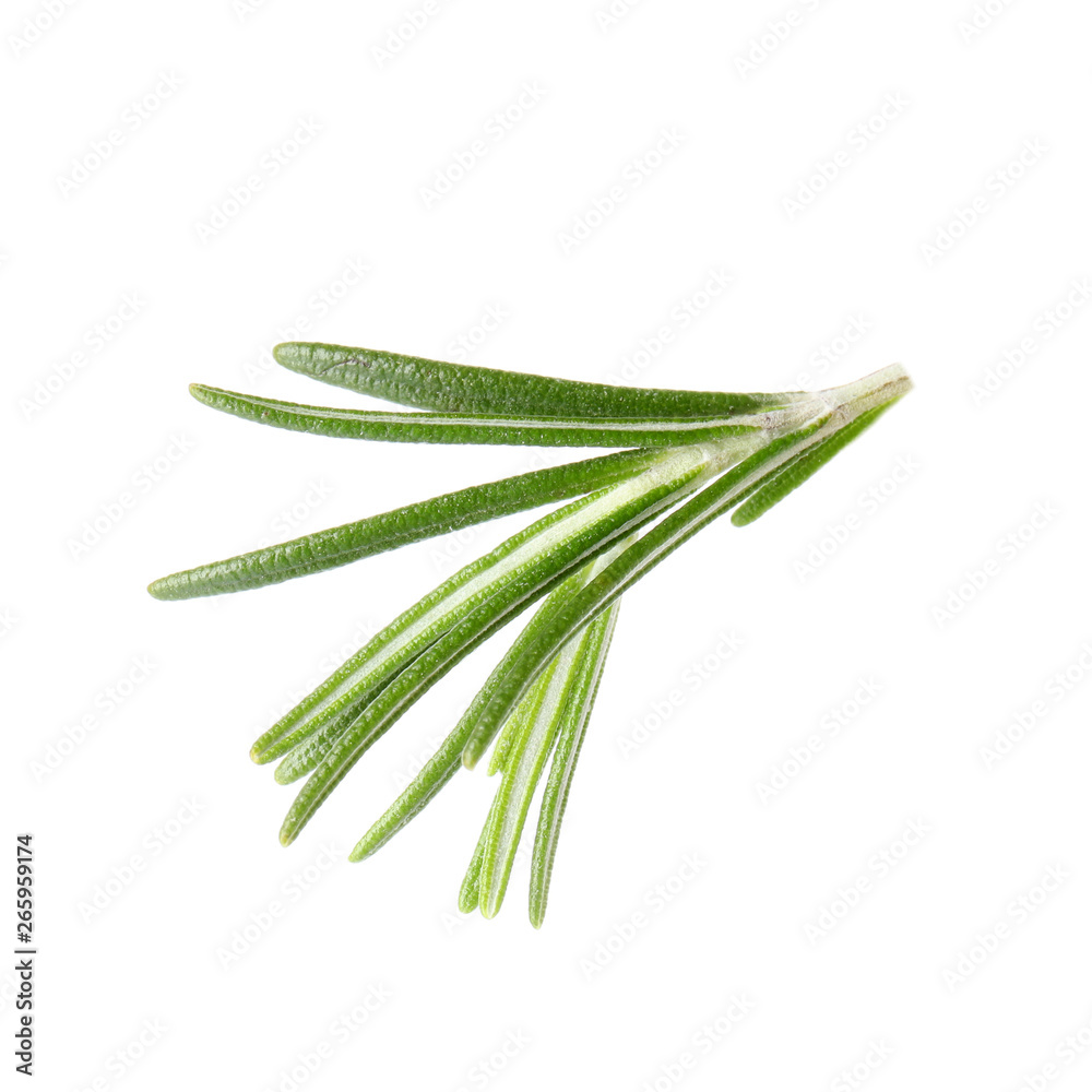 Fresh green rosemary leaves on white background Fresh green rosemary leaves on white background