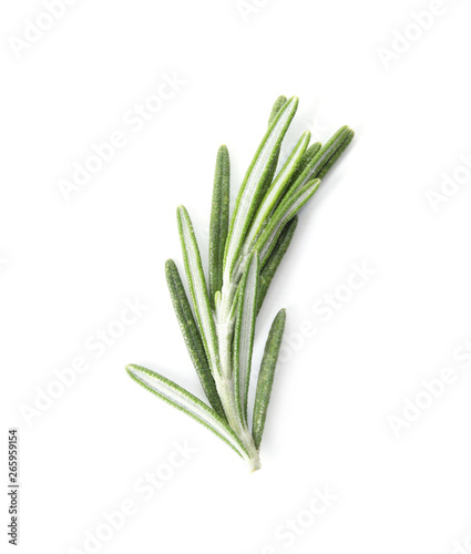 Fresh green rosemary twig on white background, top view