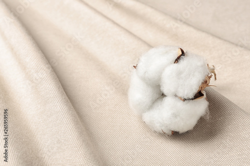 Fluffy cotton flower on fabric, closeup. Space for text