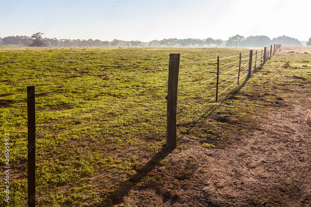 Green pasture at sunrise fenced off