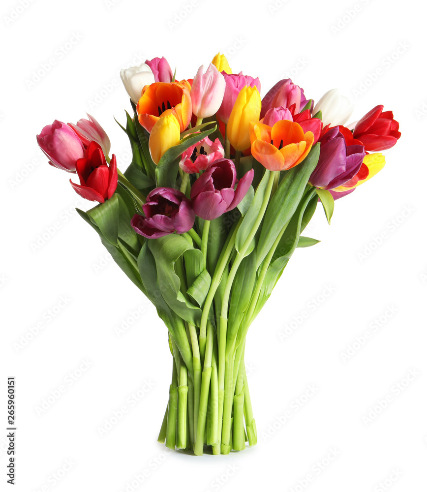 Beautiful bouquet of spring tulip flowers on white background