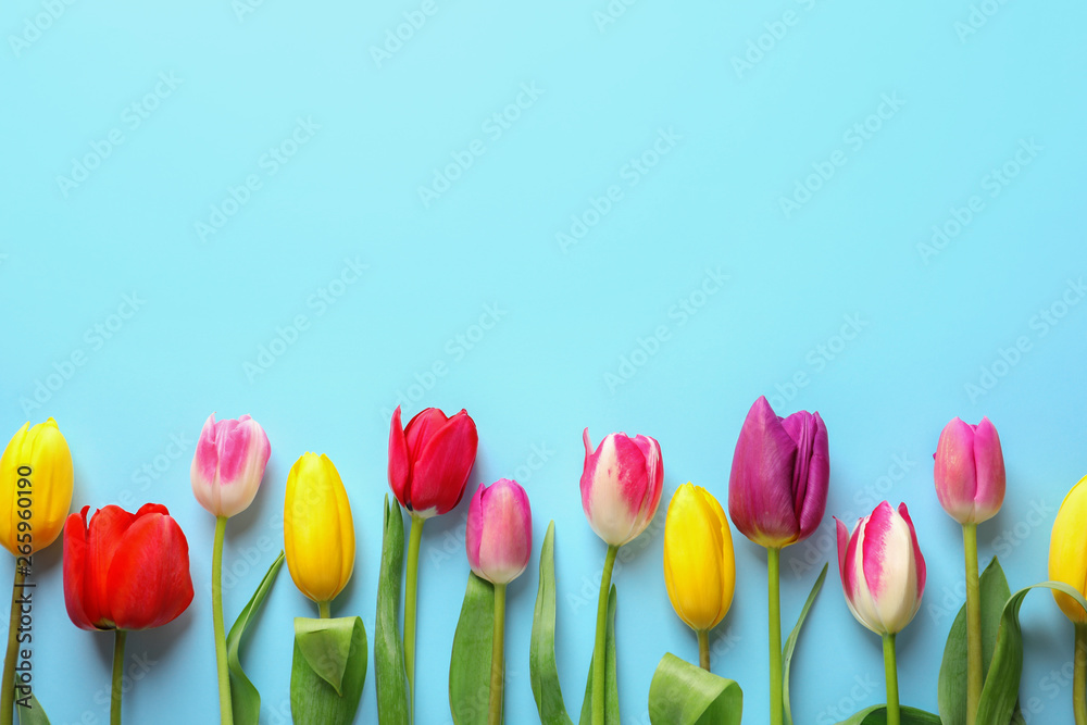Beautiful spring tulip flowers on color background, top view. Space for text