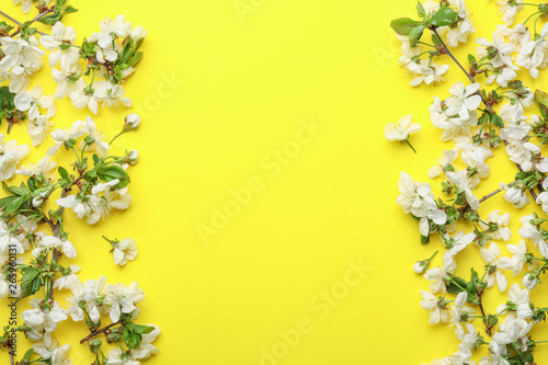 Flat lay composition of beautiful fresh spring flowers on color background, space for text