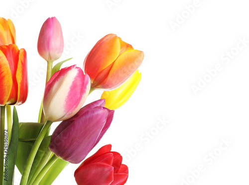 Beautiful bright tulips on white background. Spring flowers