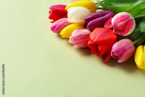 Beautiful spring tulip flowers on color background. Space for text