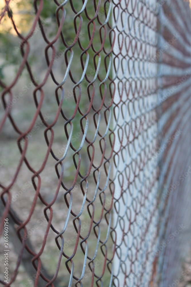 Fototapeta premium Detail of wire netting photograph