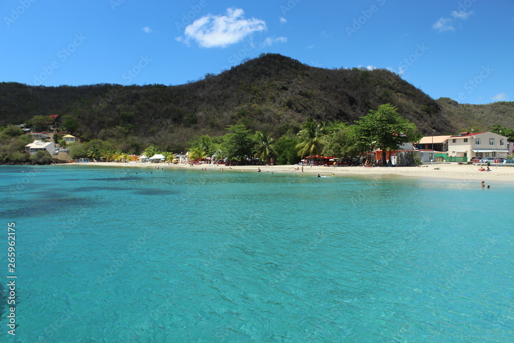 tropical beach in Martinique