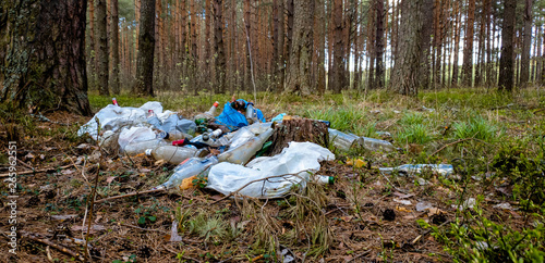 Rubbish left by people in the forest. Garbage in the forest.