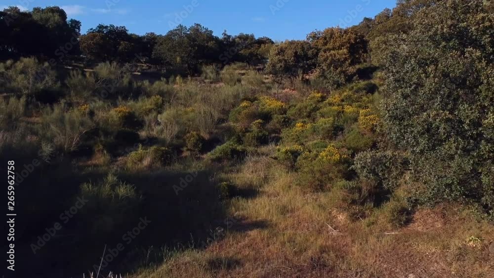Water reserve in Extremadura, Nogales. Water reserve in Extremadura, Nogales.