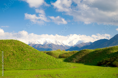 Beautiful spring and summer landscape. Lush green hills  high mountains. Spring blooming herbs. Mountain wild tulips. Blue sky and white clouds. Kyrgyzstan Background for tourism.