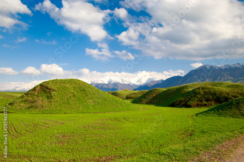 Beautiful spring and summer landscape. Lush green hills  high snowy mountains. Spring blooming herbs. blooming trees. Blue sky and white clouds.