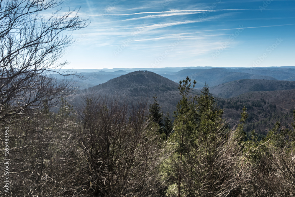 Bad dürkheim - Rhineland-Palatinate - Dragonrock - westfels