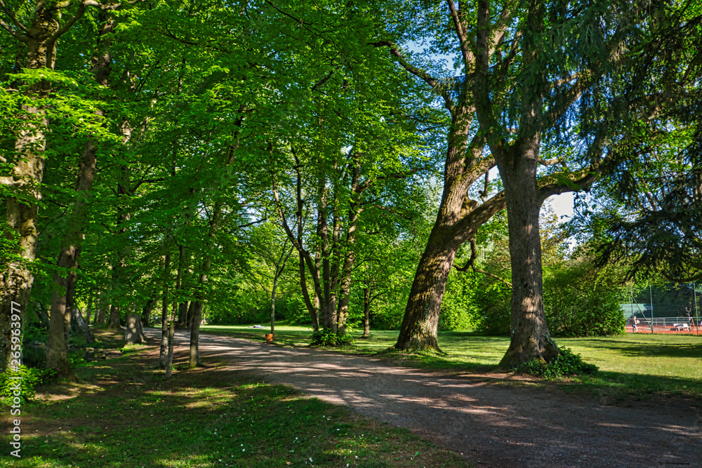 Kurpark in Bad Aibling - Spazierweg im Schatten von Bäumen