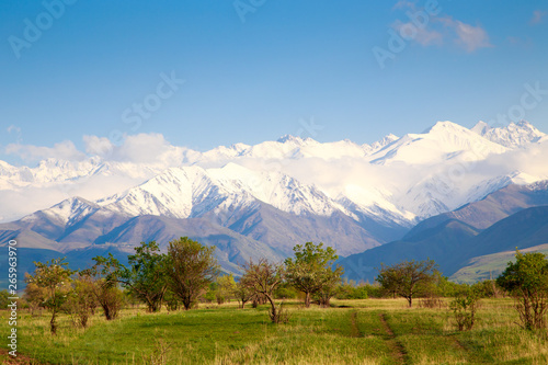 Beautiful spring and summer landscape. Lush green hills, high snowy mountains. Spring blooming herbs. blooming trees. Blue sky and white clouds.