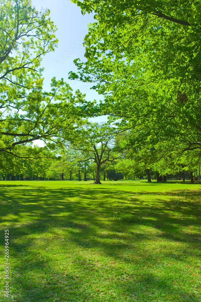 Garden trees