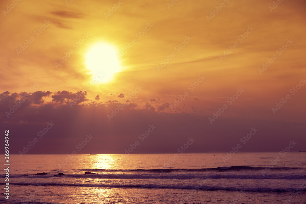 Fototapeta premium sunset over the sea