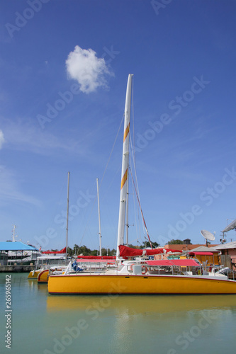 Sailboats in the port of Antigua  Lesser Antilles 