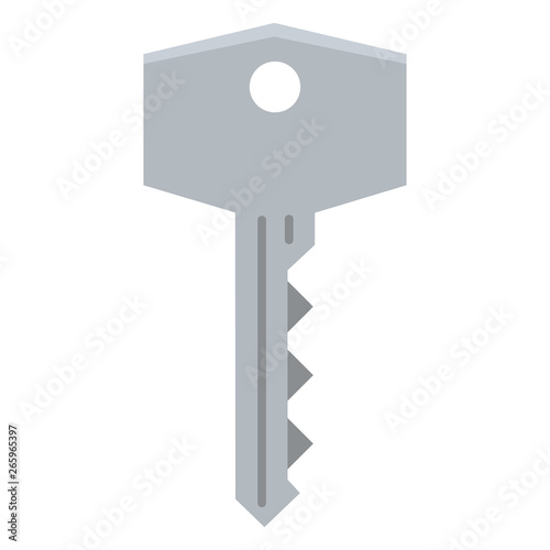 Vector Single Flat Modern Key Icon