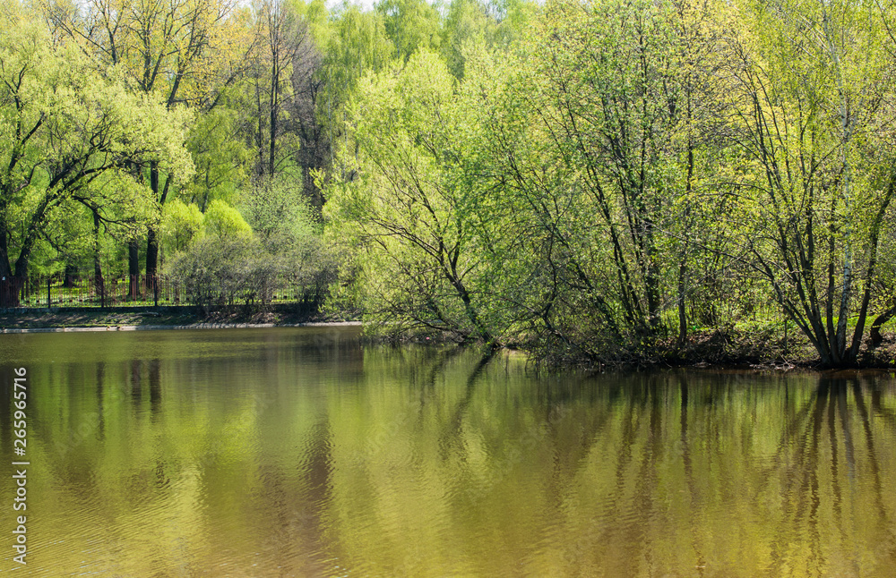 A tranquil lake with spring tree reflection 