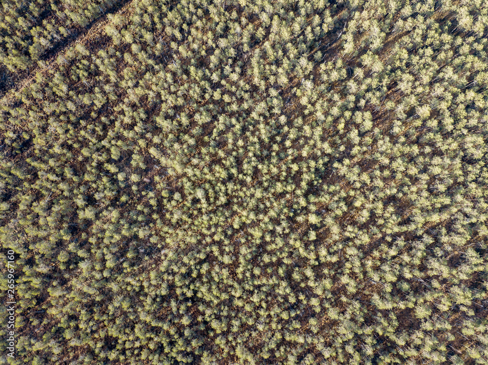 aerial view of countryside endless green forests with small lakes aerial view of countryside endless green forests with small lakes