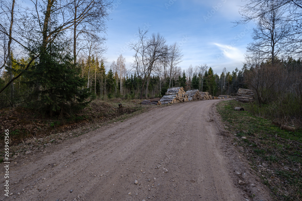 Fototapeta premium b eautiful countryside gravel road in sunset