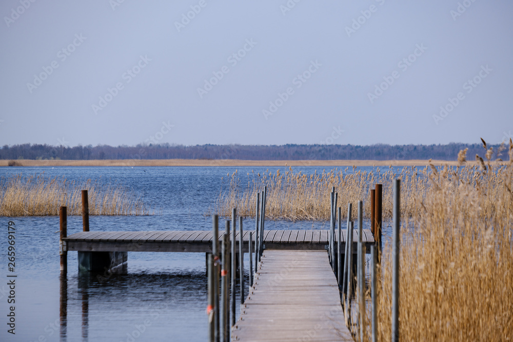 Naklejka premium drewniana deska ścieżka podnóża trampolina w jeziorze