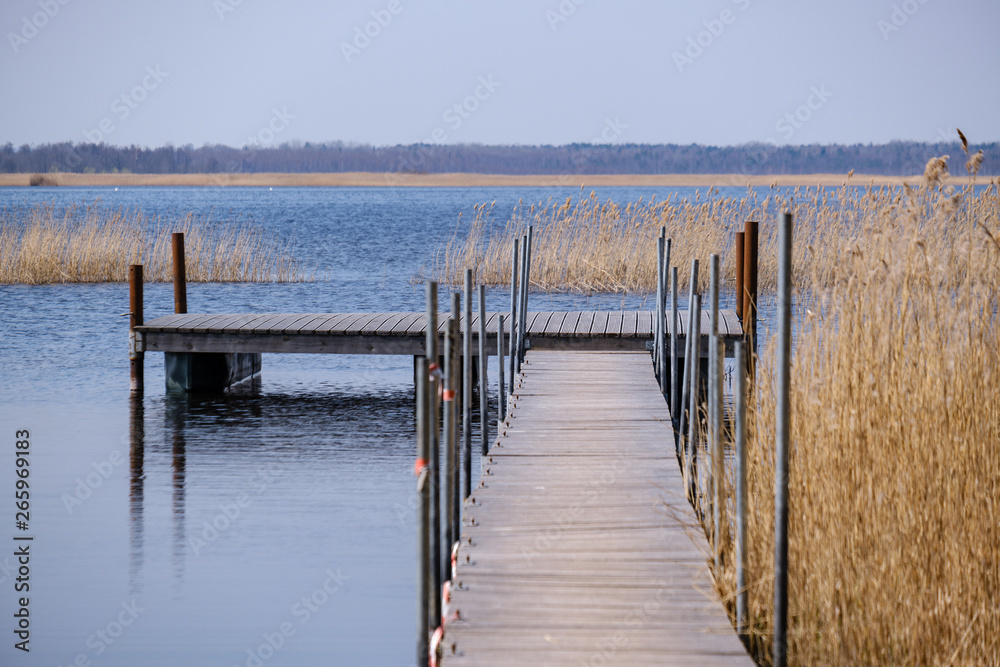 Naklejka premium drewniana deska ścieżka podnóża trampolina w jeziorze