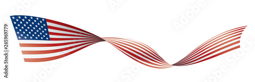 USA flag, vector illustration on a white background
