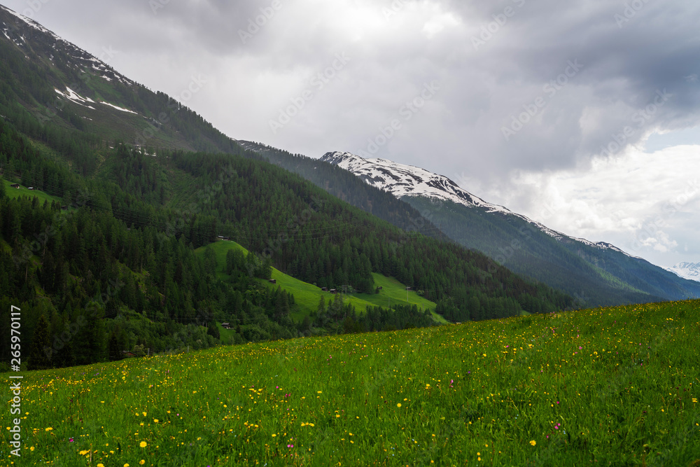 Fototapeta premium Switzerland. Mountains and nature. Concepts about traveling and wanderlust. Meadows of green grass and flowers in the Swiss mountains after a summer rain with huge clouds. Travel and vacation concept.