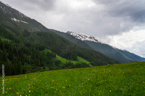 Switzerland. Mountains and nature. Concepts about traveling and wanderlust. Meadows of green grass and flowers in the Swiss mountains after a summer rain with huge clouds. Travel and vacation concept.