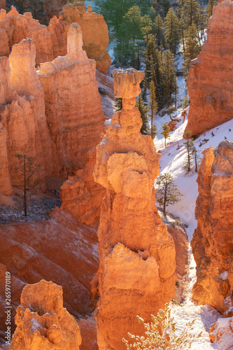 Golden early morning sun light on Thor's Hammer, a natural rock formation found in Bryce Canyon National Park in the American southwest. 