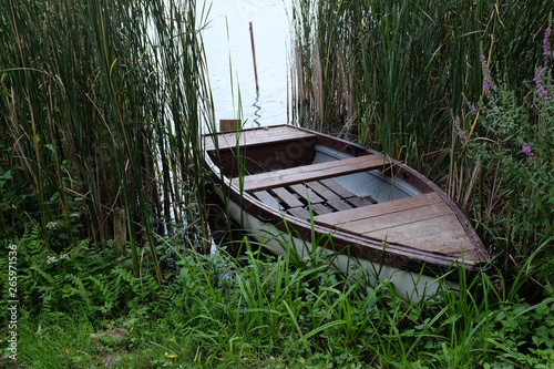 A small boat lies hidden in the grass and reeds at the edge of a lake