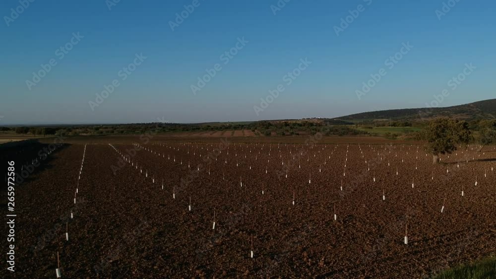 aerial view low flying over field aerial view low flying over field