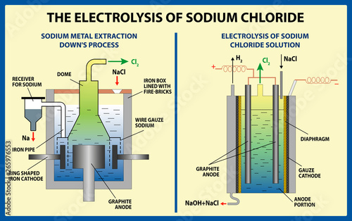 The Electrolysis of Sodium Chloride. Vector illustration 