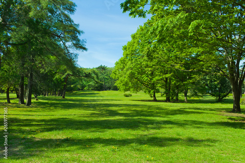 Green park