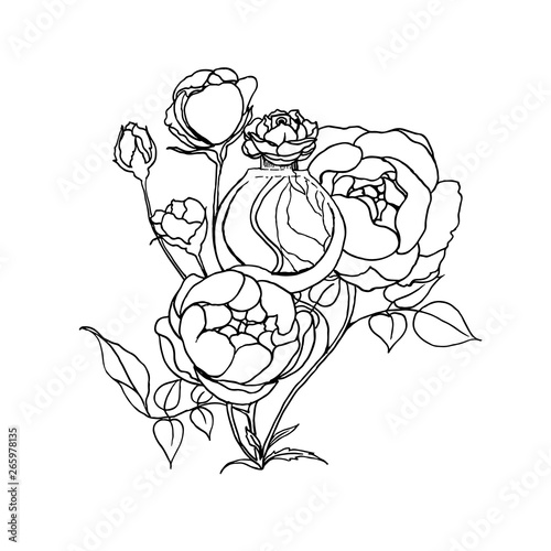 Sketch of perfume packaging and rose scent cocept.