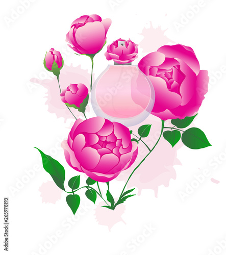 vector of perfume packaging and rose scent cocept.