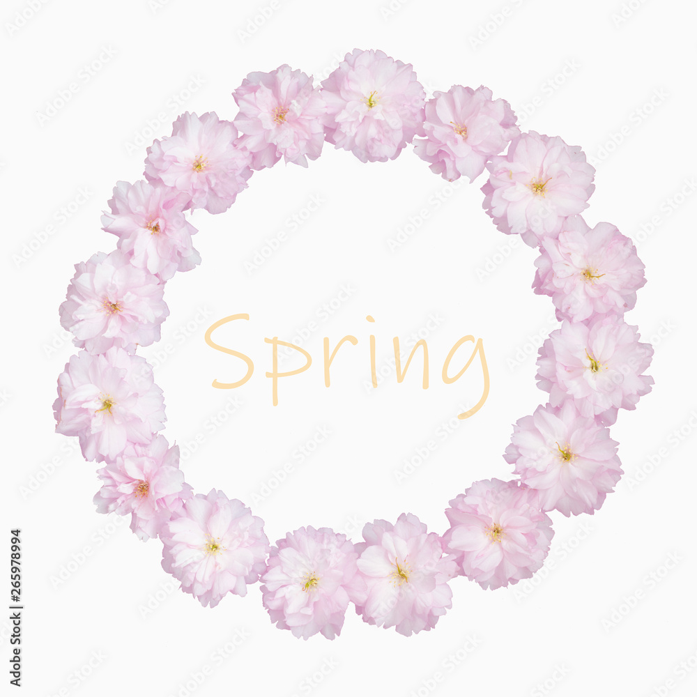 Blütenkranz mit rosa Blüten, Sakura, isoliert auf weißem Hintergrund. draufsicht, Hintergrund. Blütenkranz mit rosa Blüten, Sakura, isoliert auf weißem Hintergrund. draufsicht, Hintergrund.