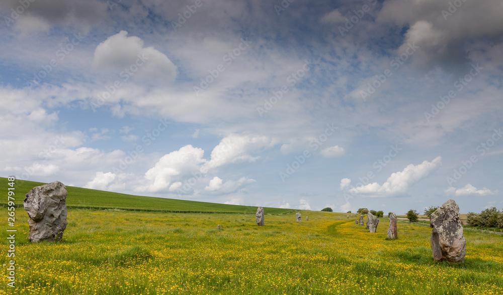 Details of stones and the environs in the Prehistoric Avebury Stone Circle, Wiltshire, England, UK
